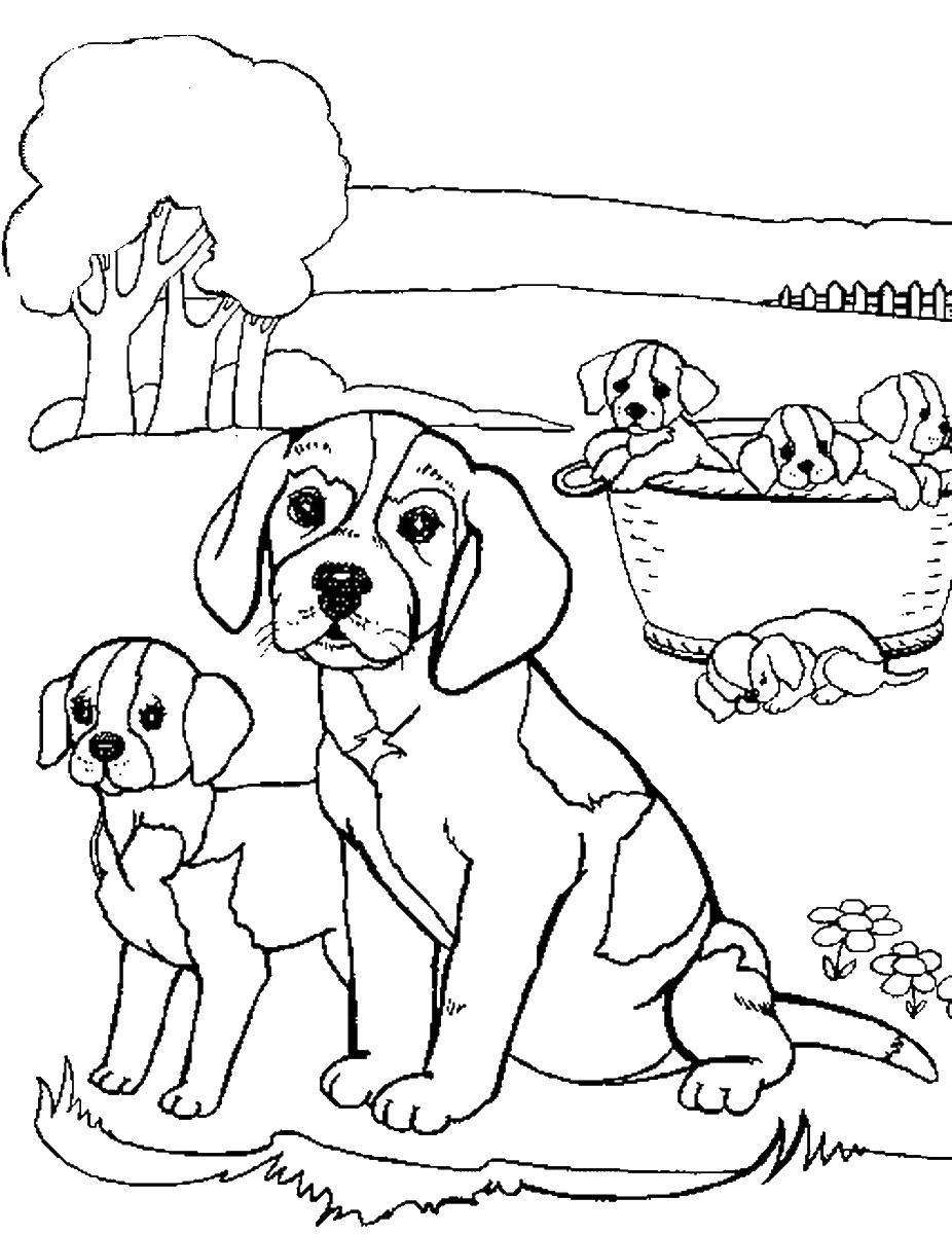 Beagle Coloring Pages
 Beagle Coloring Pages Coloring Pages