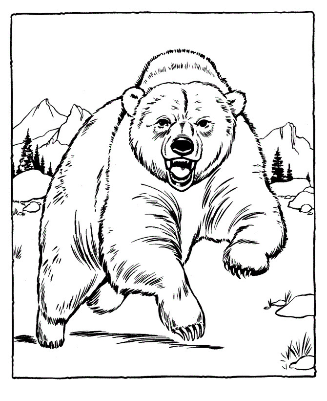 Bear Coloring Pages
 Free Printable Bear Coloring Pages For Kids