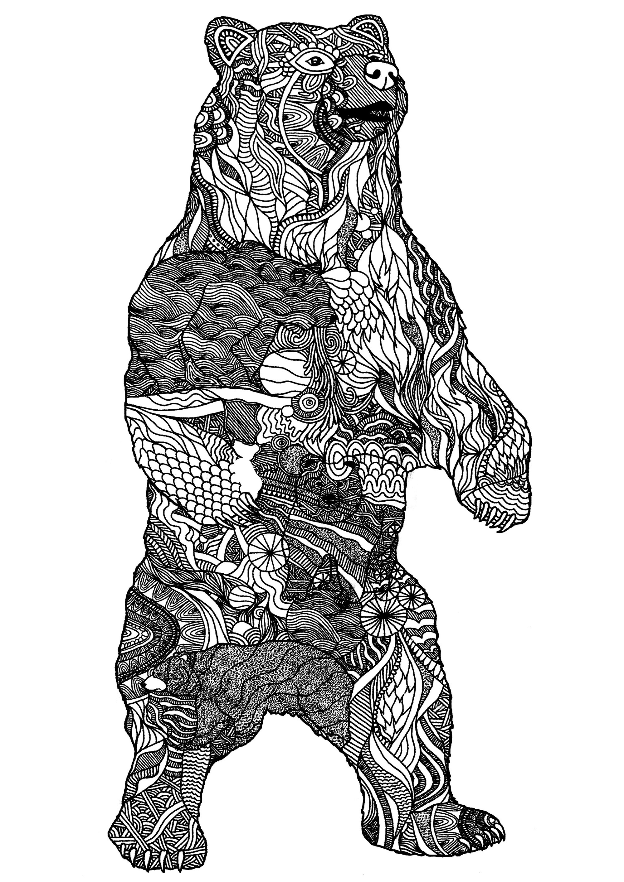 Bear Coloring Pages For Adults
 Big bear zentangle patterns Bears Adult Coloring Pages