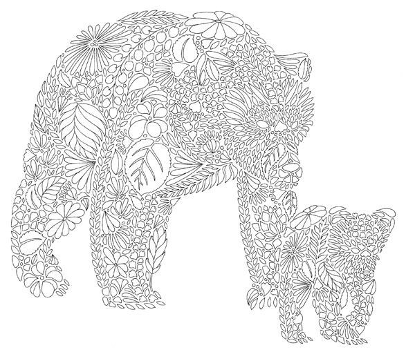 Bear Coloring Pages For Adults
 Bear 600×510 art therapy Pinterest