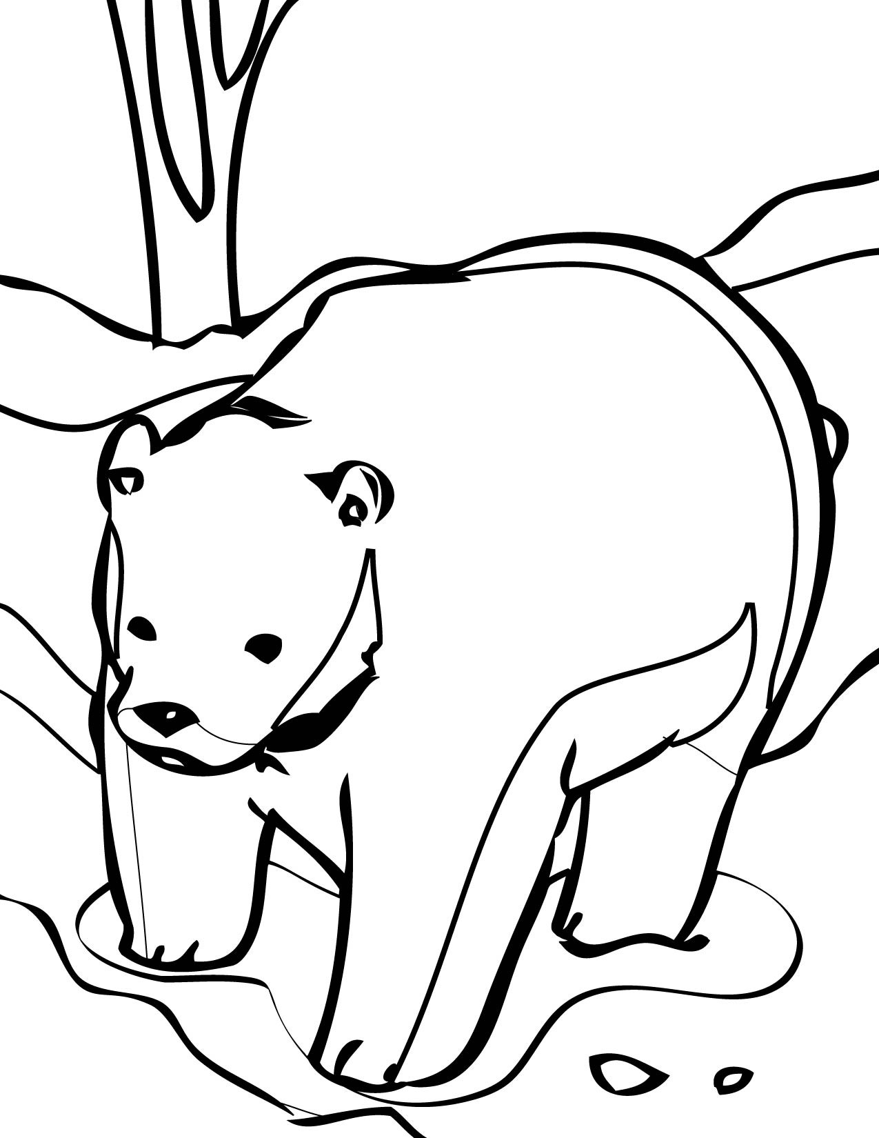 Bear Coloring Pages
 Free Printable Bear Coloring Pages For Kids