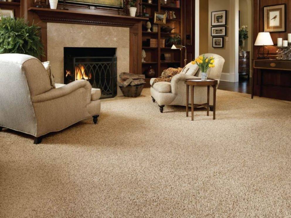 decorating a living room with carpet