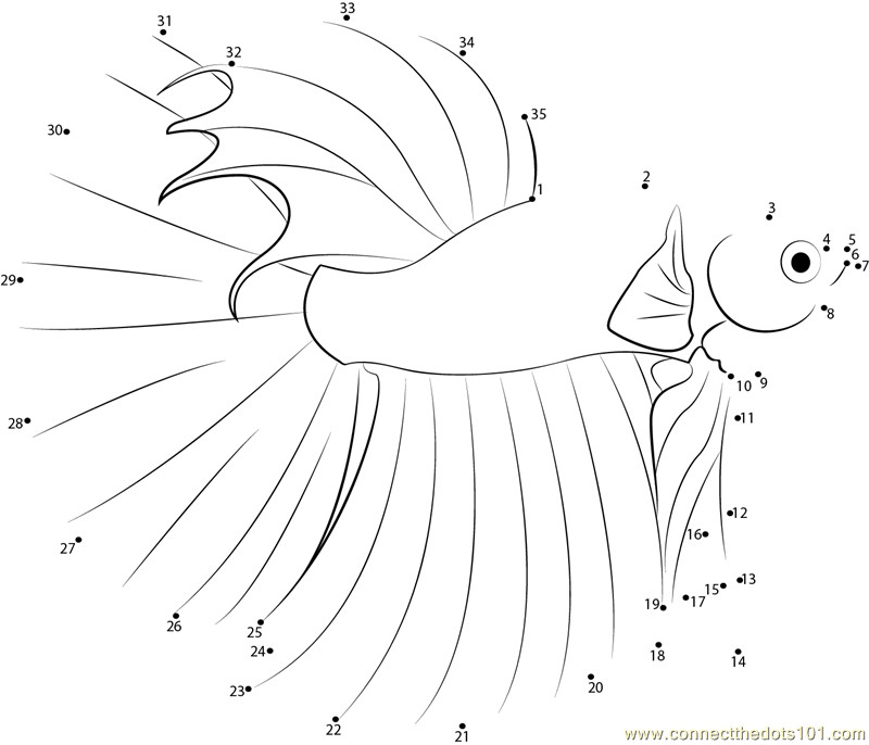 Betta Fish Coloring Pages
 Betta Coloring Pages For Adults Coloring Pages