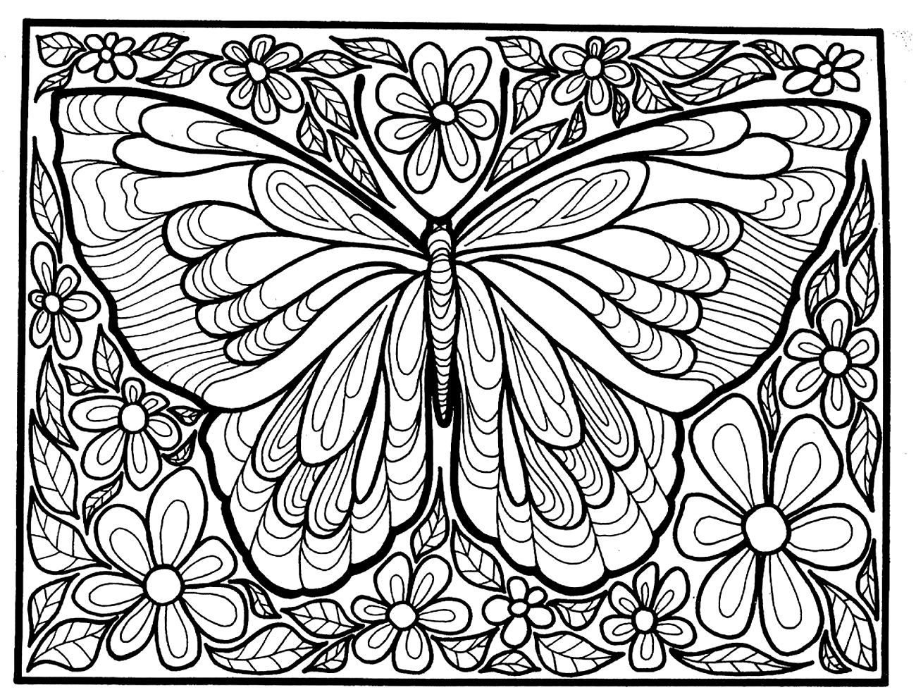 Big Coloring Pages For Adults
 Big butterfly Butterflies & insects Adult Coloring Pages