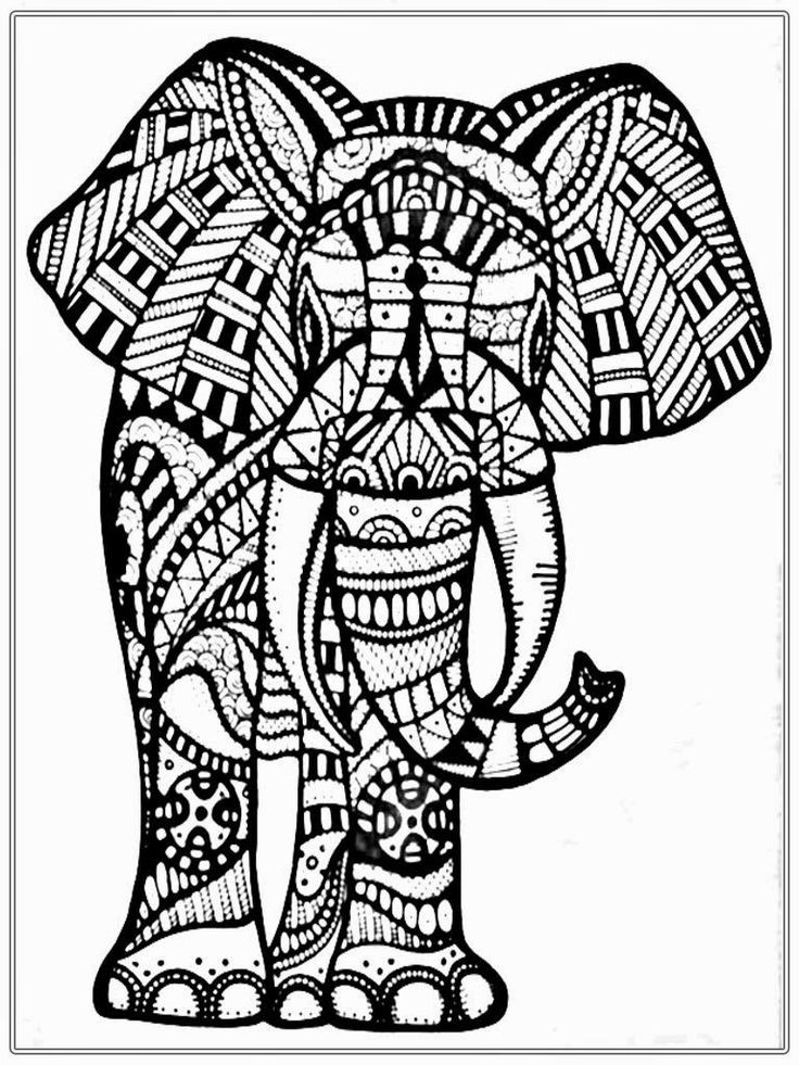 Big Coloring Pages For Adults
 19 best images about Adult coloring Elephants on