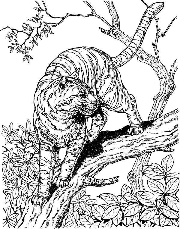 Big Coloring Pages For Adults
 20 best Big cat coloring pages images on Pinterest