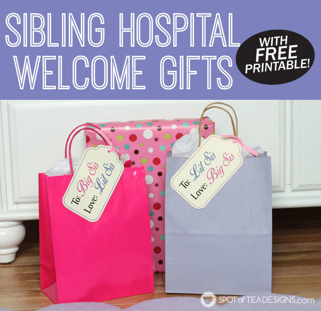 Big Sister Gift Ideas From New Baby
 Big Sister and Little Sister Wel e Gifts With Free