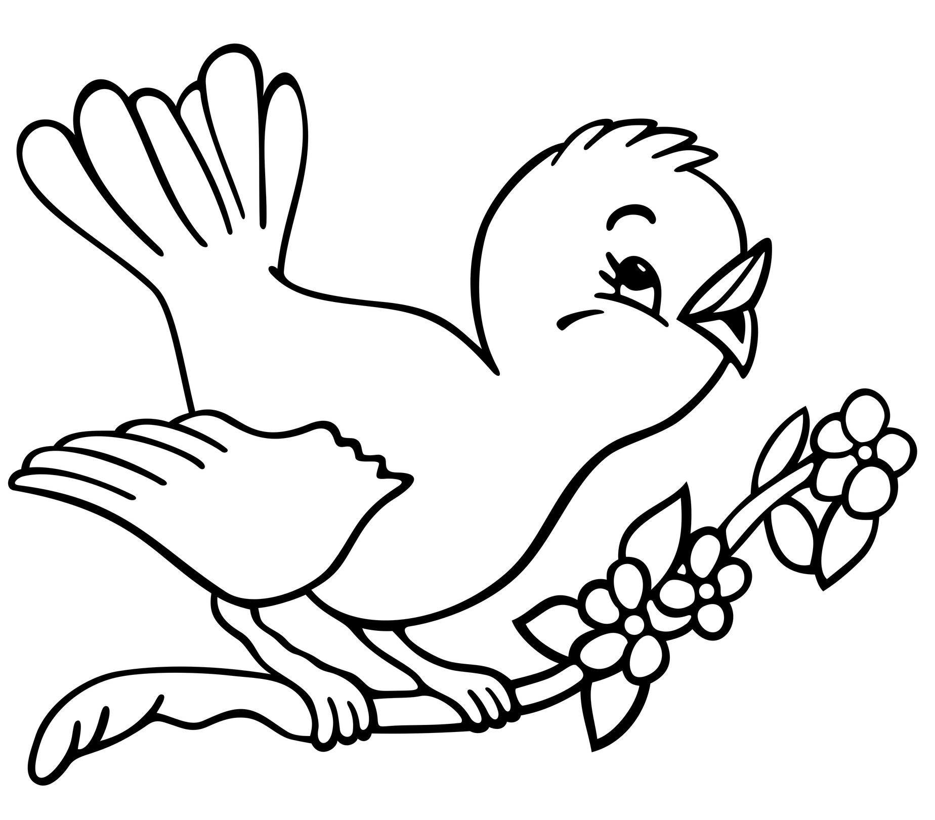 Bird Coloring Book
 Cuckoo Bird coloring pages