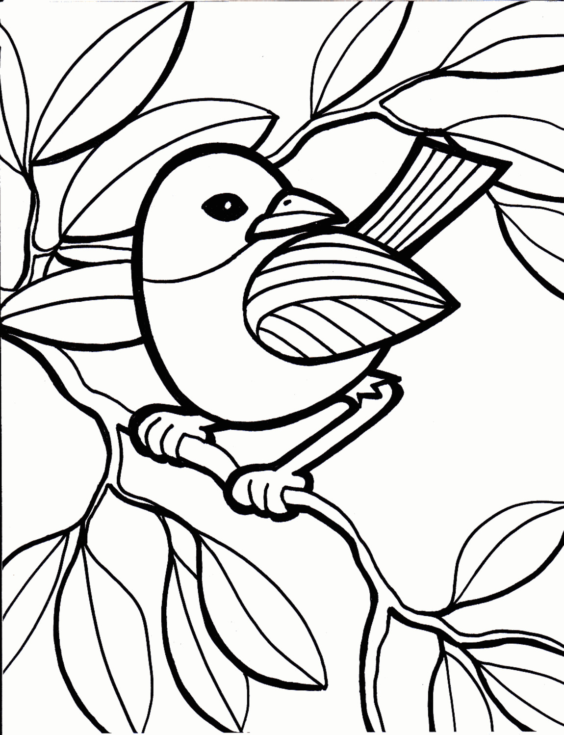 Bird Coloring Book
 Bird coloring pages