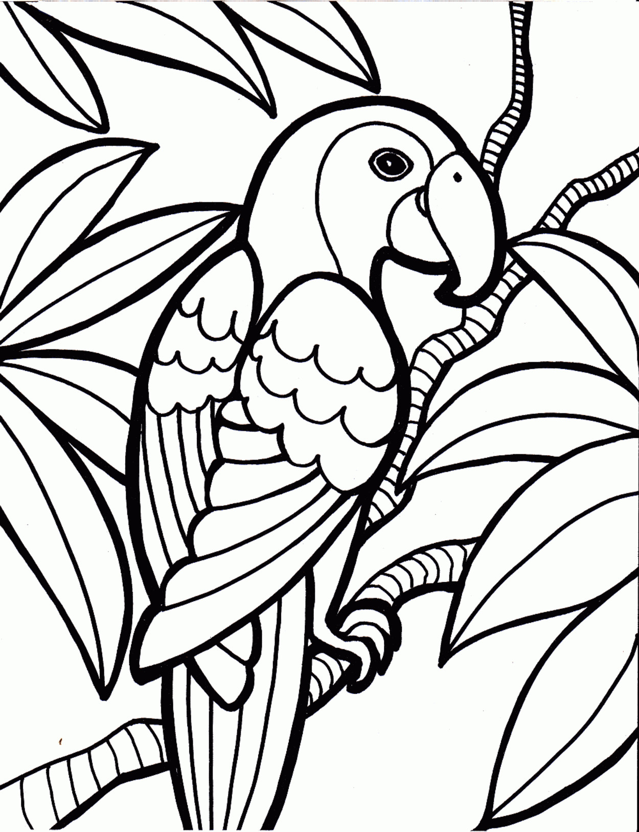 Bird Coloring Book
 Bird Coloring Page With Free Bird Coloring Pages