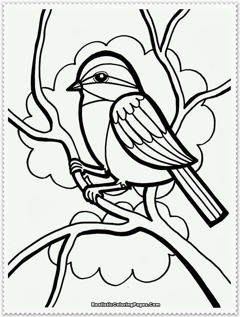 Bird Coloring Book
 Bird Coloring Pages Realistic