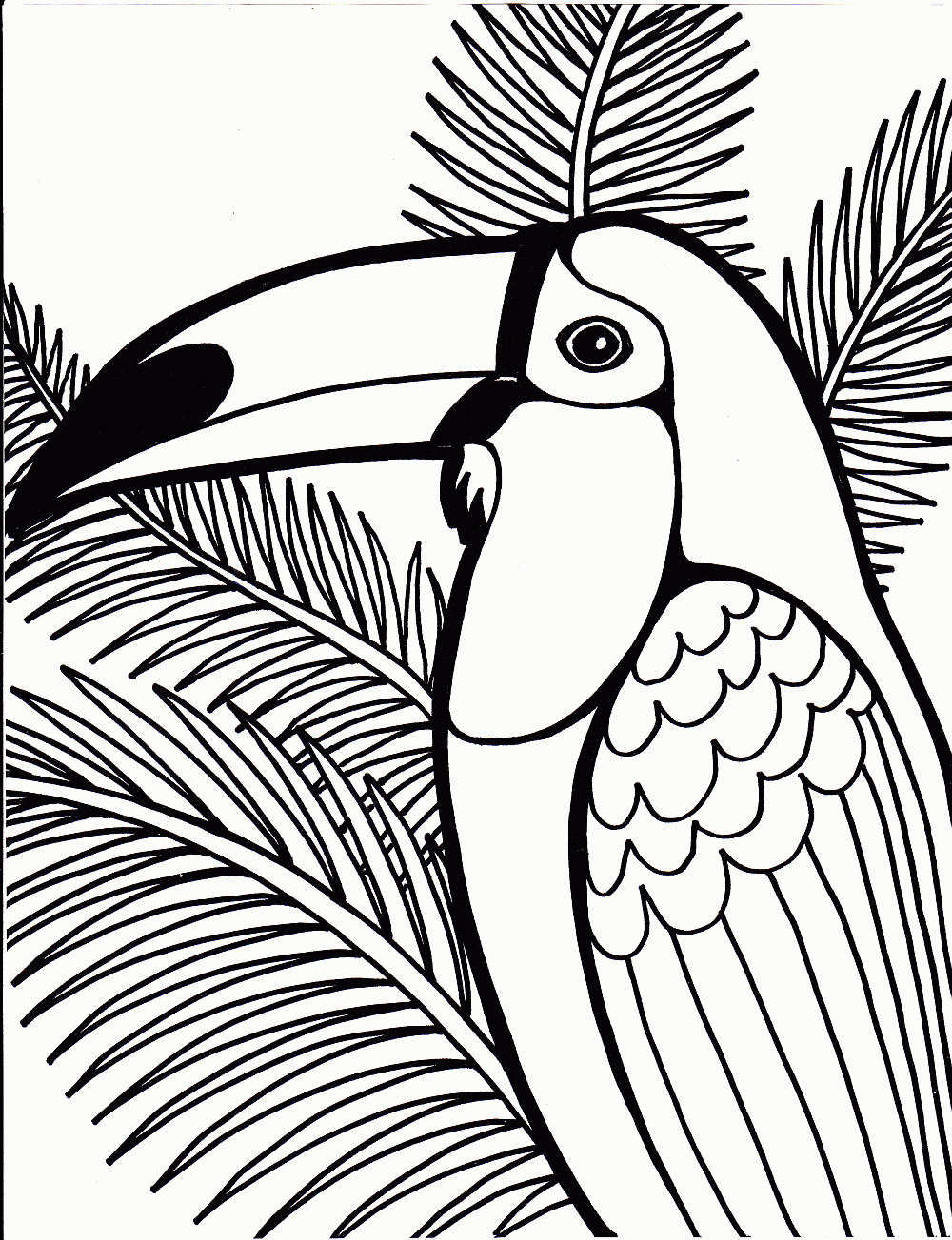Bird Coloring Sheet
 Bird coloring pages