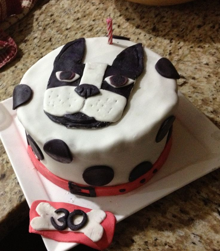 Birthday Cake Boston
 Boston terrier cake EverydayPins Pinterest