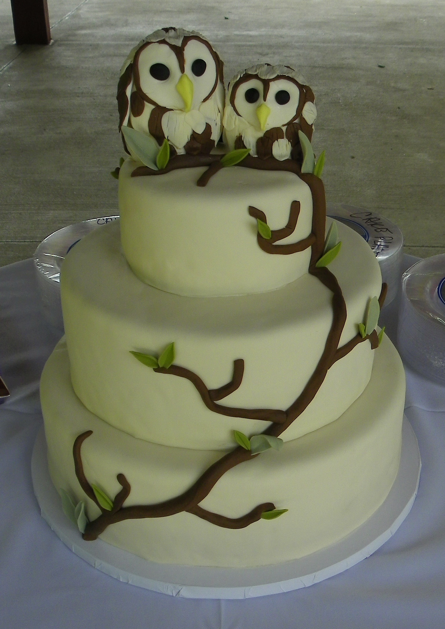 Birthday Cake Decorations
 Owl Cakes – Decoration Ideas