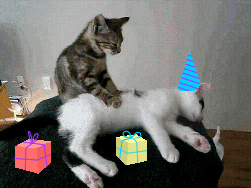 Best ideas about Birthday Gif Funny
. Save or Pin Happy Birthday Funny GIFs Find & on GIPHY Now.