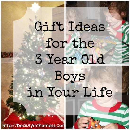 Birthday Gifts For 3 Year Old Boy
 Gift Ideas for a 3 Year Old Boy