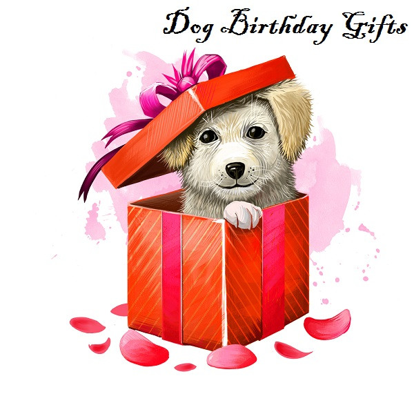 Birthday Gifts For Dogs
 Hidden Gems – Dog Birthday Gifts