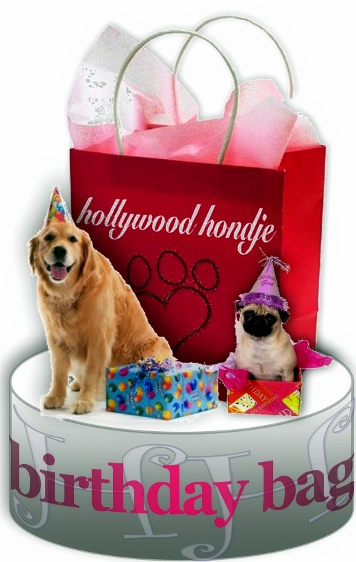 Birthday Gifts For Dogs
 Dog s Best Services and Friend Dog Birthday Gift