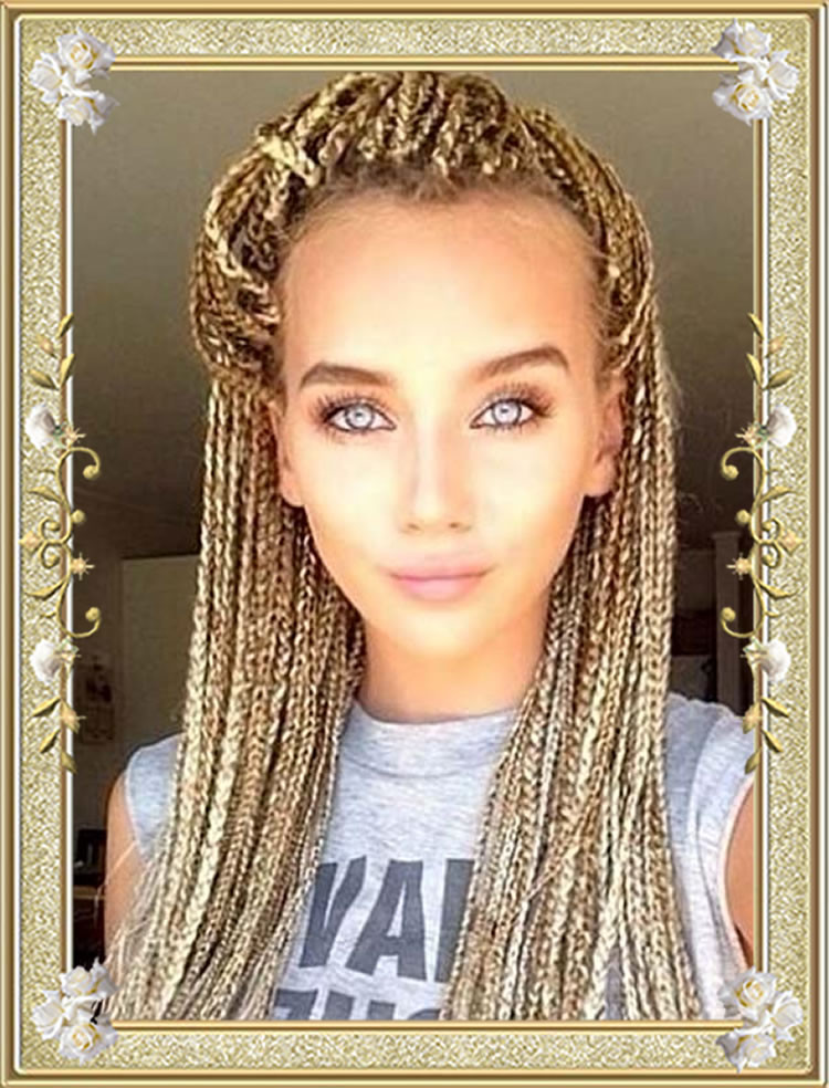 Black Braids Hairstyle from 60 Delectable Box Braids Hairstyles for Black W...