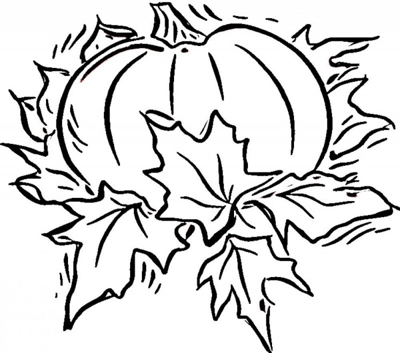 Best ideas about Blank Pumpkin Coloring Sheets For Kids
. Save or Pin Free Printable Pumpkin Coloring Pages For Kids Now.