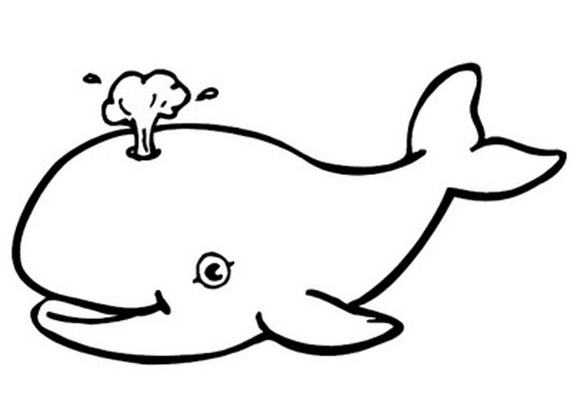 Blue Coloring Pages For Kids
 Free Printable Whale Coloring Pages For Kids