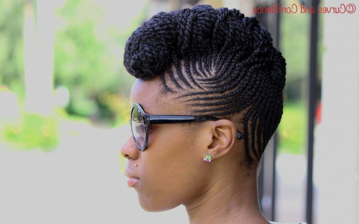 Braided Hairstyles For Natural Hair
 Natural Braided Hairstyles