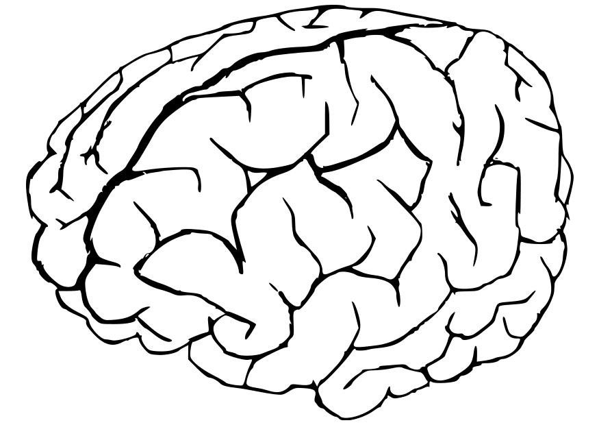 Brain Coloring Sheet
 Human Brain Coloring Pages Coloring Home
