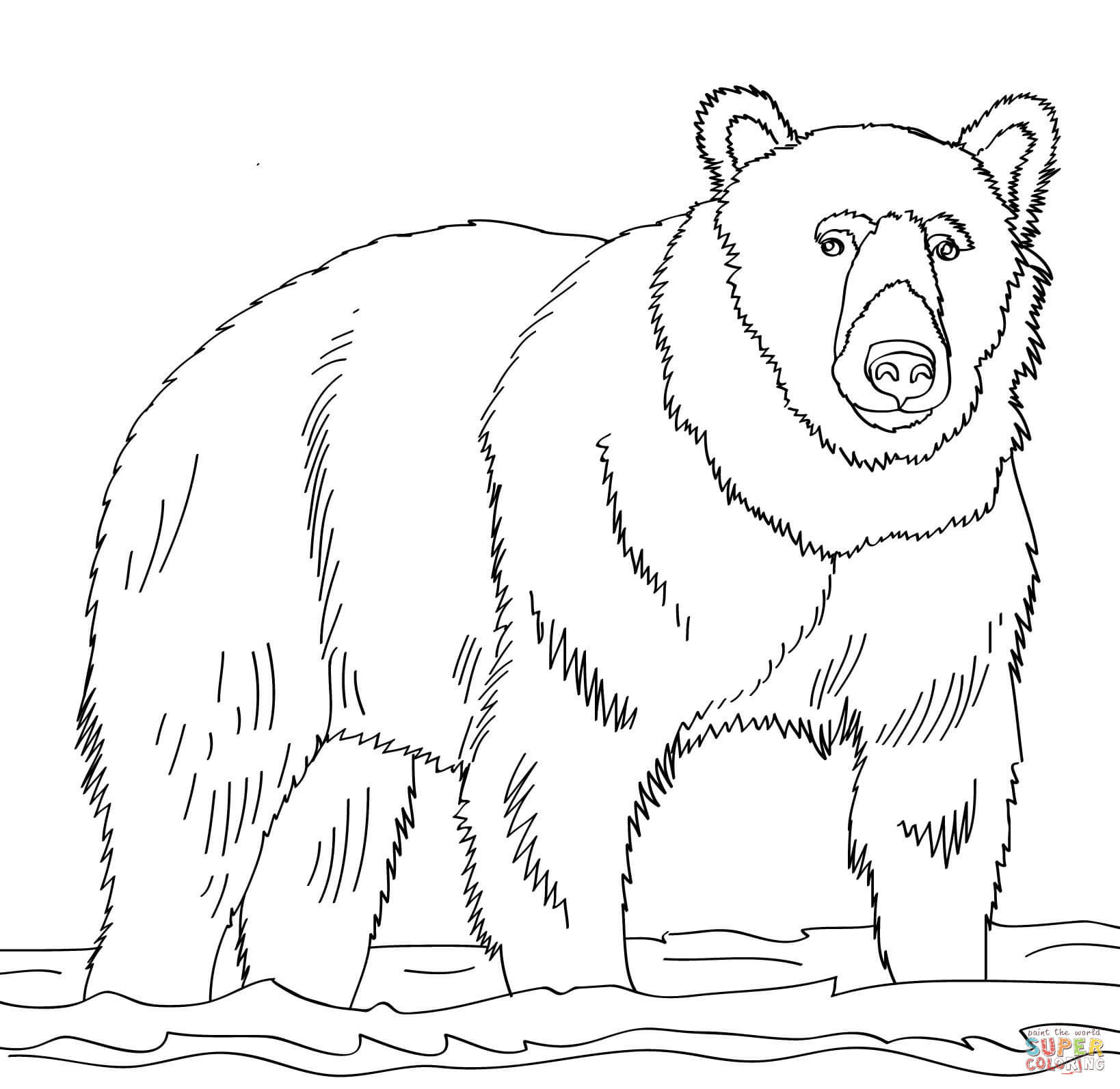 Brown Bear Brown Bear Coloring Pages
 Brown Bear Coloring Pages Coloring Pages For Children