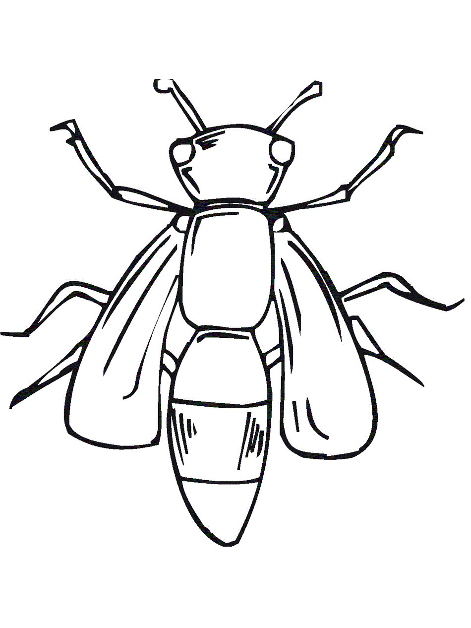 Bug Coloring Pages
 Free Printable Bug Coloring Pages For Kids