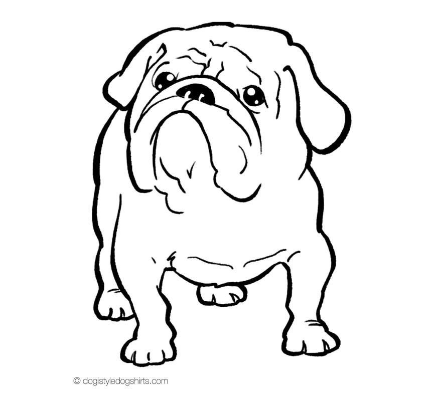 Bulldog Coloring Pages
 Free Printable Bulldog Coloring Page