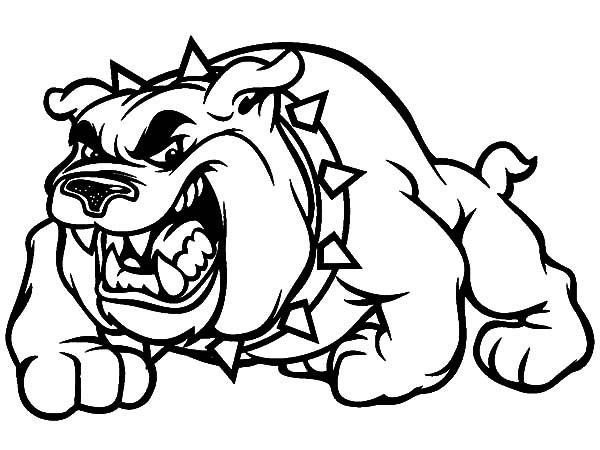 Bulldog Coloring Pages
 Scary Bulldog Coloring Pages