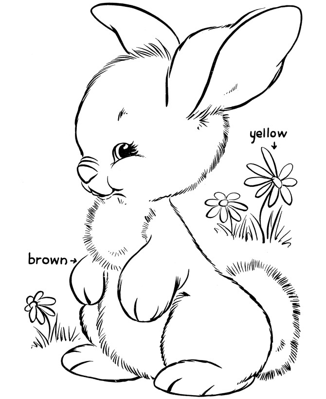 Bunnies Coloring Pages
 Free Printable Rabbit Coloring Pages For Kids