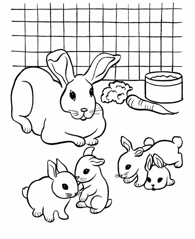 Bunnies Coloring Pages
 Free Printable Rabbit Coloring Pages For Kids