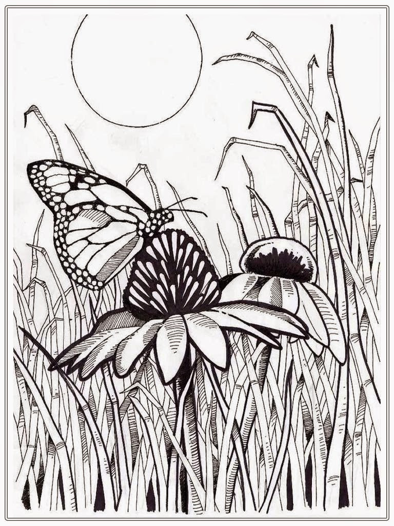 Butterfly Coloring Pages For Adults
 Adult Coloring Pages Butterfly