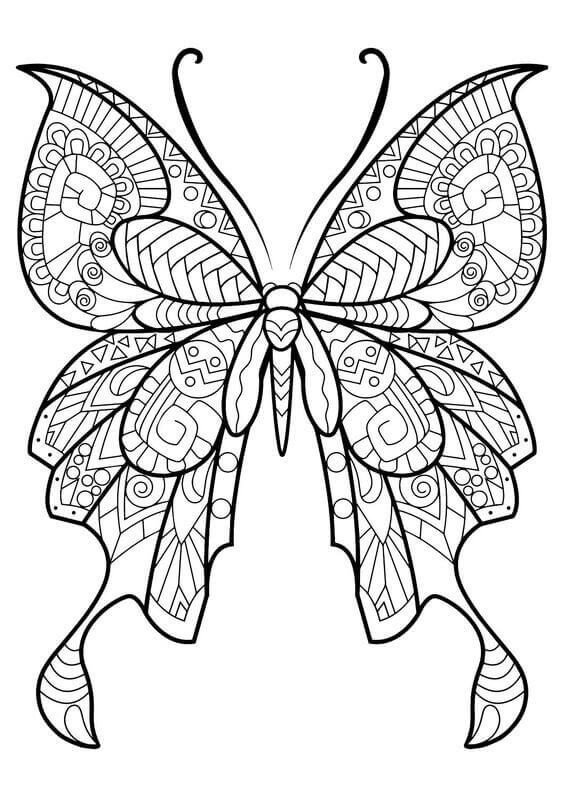 Butterfly Coloring Pages For Adults
 40 Free Printable Butterfly Coloring Pages