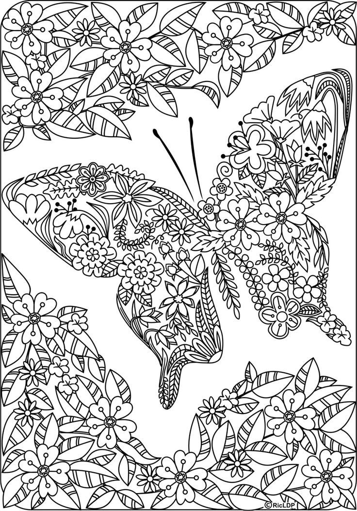 Butterfly Coloring Pages For Adults
 Detailed Butterfly Coloring Pages For Adults