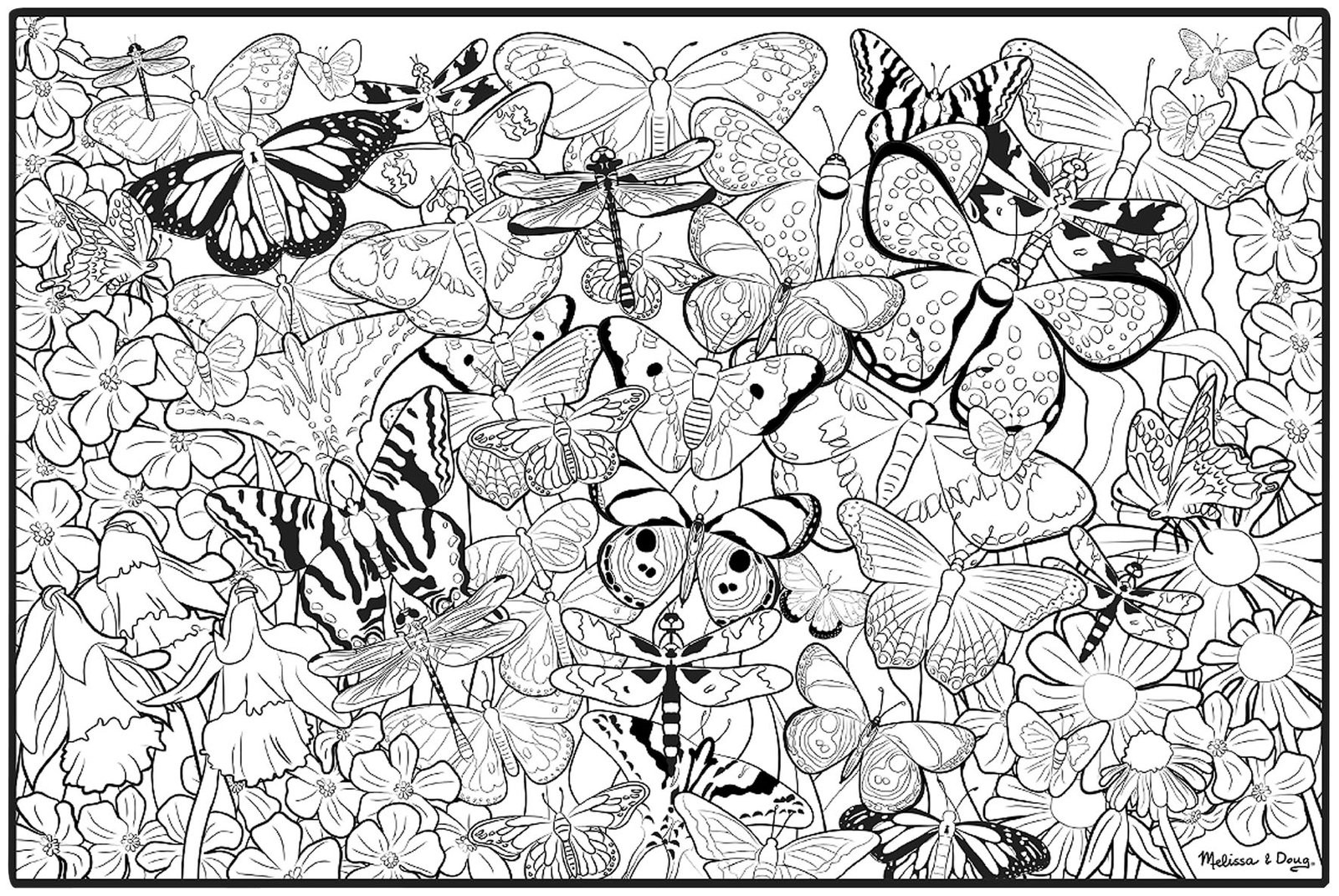 Butterfly Coloring Pages For Adults
 Free Printable Many Butterfly To Color For Adults