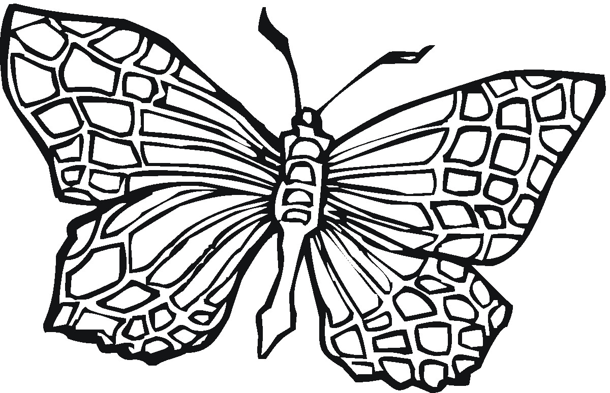 Butterfly Free Coloring Pages
 Free Printable Butterfly Coloring Pages For Kids