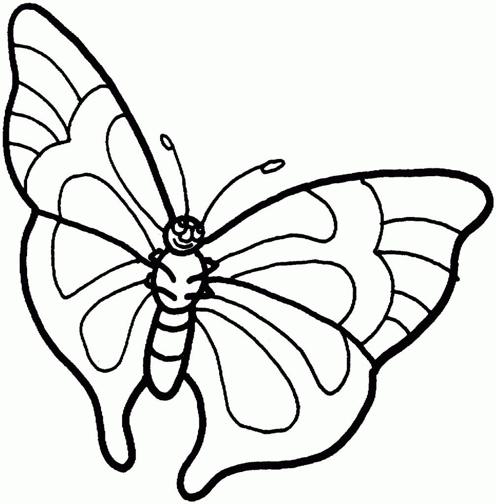 Butterfly Free Coloring Pages
 Free Printable Butterfly Coloring Pages For Kids