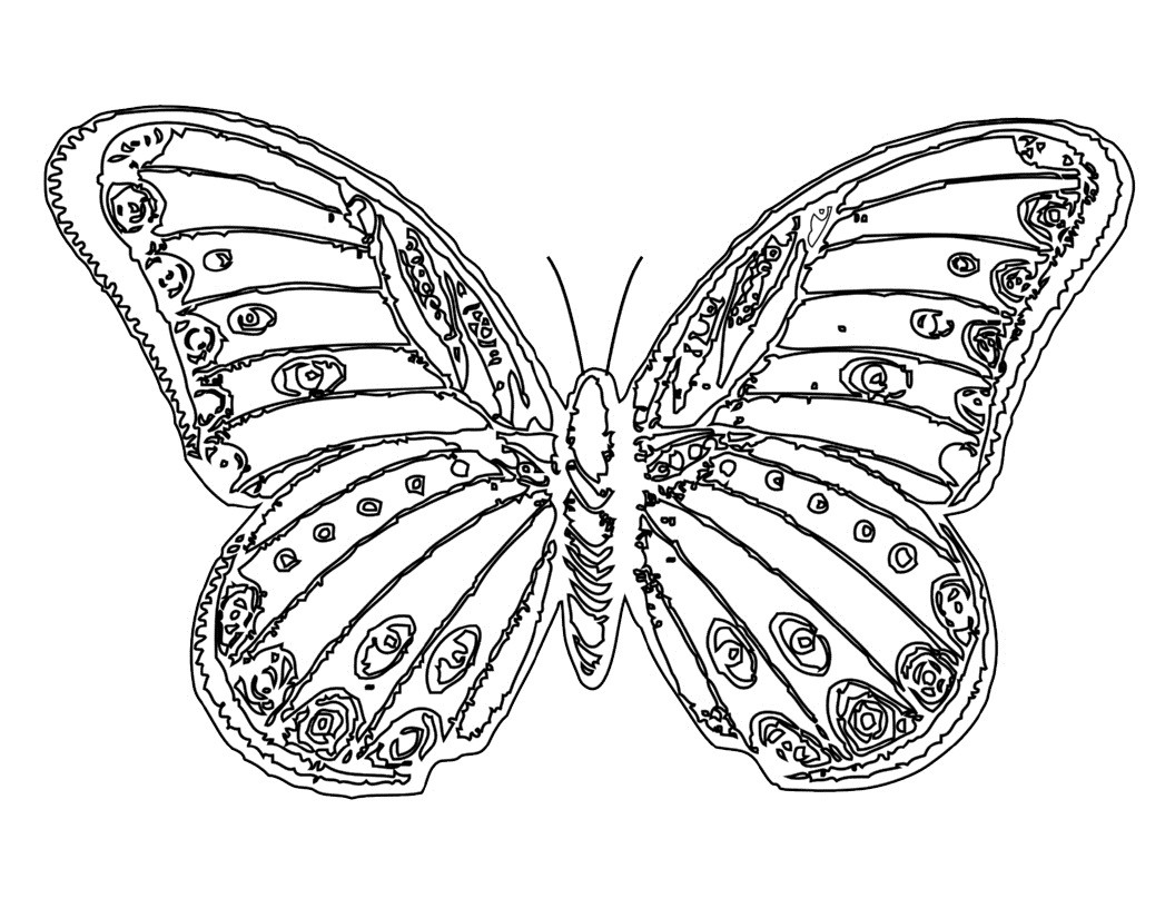 Butterfly Free Coloring Pages
 Free Printable Butterfly Coloring Pages For Kids