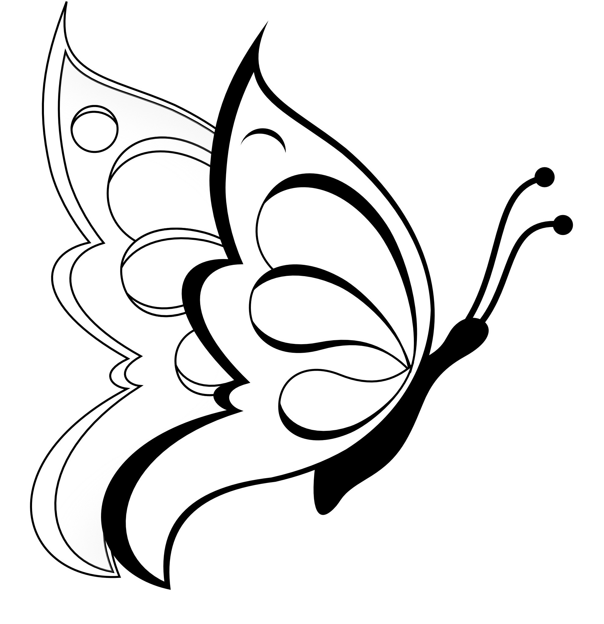 Butterfly Free Coloring Pages
 Free Printable Butterfly Coloring Pages For Kids