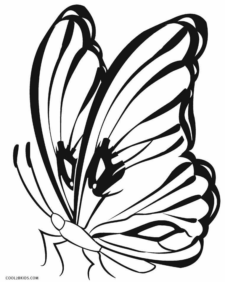 Butterfly Free Coloring Pages
 Printable Butterfly Coloring Pages For Kids