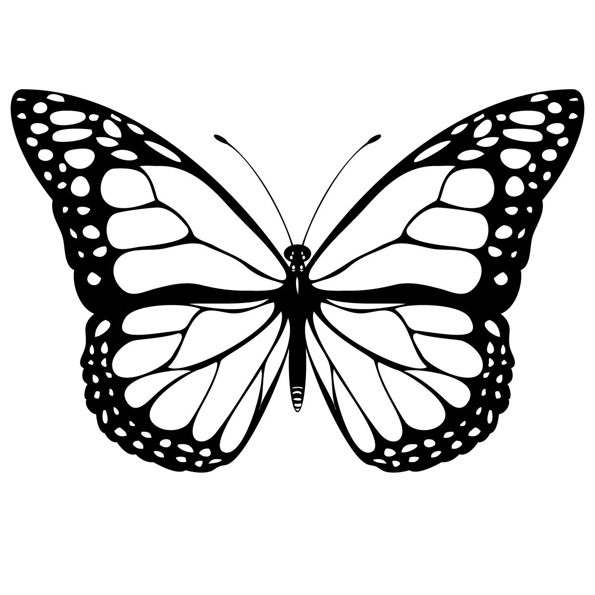 Butterfly Free Coloring Pages
 Free Printable Butterfly Coloring Pages For Kids