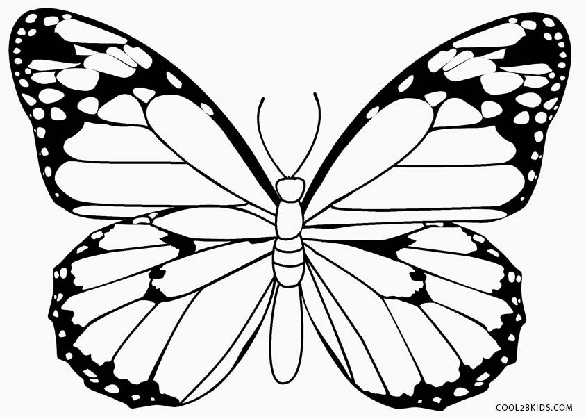 Butterfly Free Printable Coloring Sheets
 Printable Butterfly Coloring Pages For Kids
