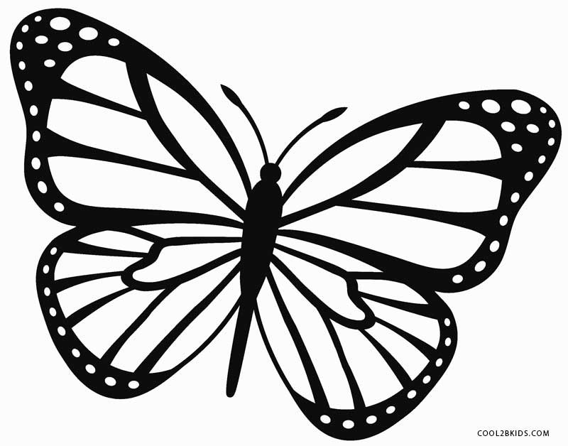 Butterfly Free Printable Coloring Sheets
 Printable Butterfly Coloring Pages For Kids