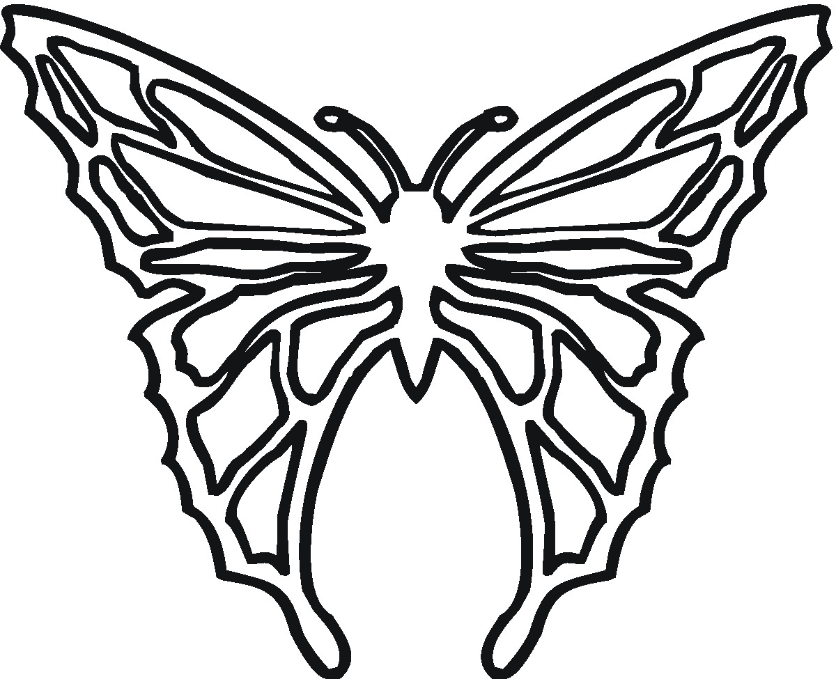 Butterfly Free Printable Coloring Sheets
 free printable butterfly coloring pages for kids