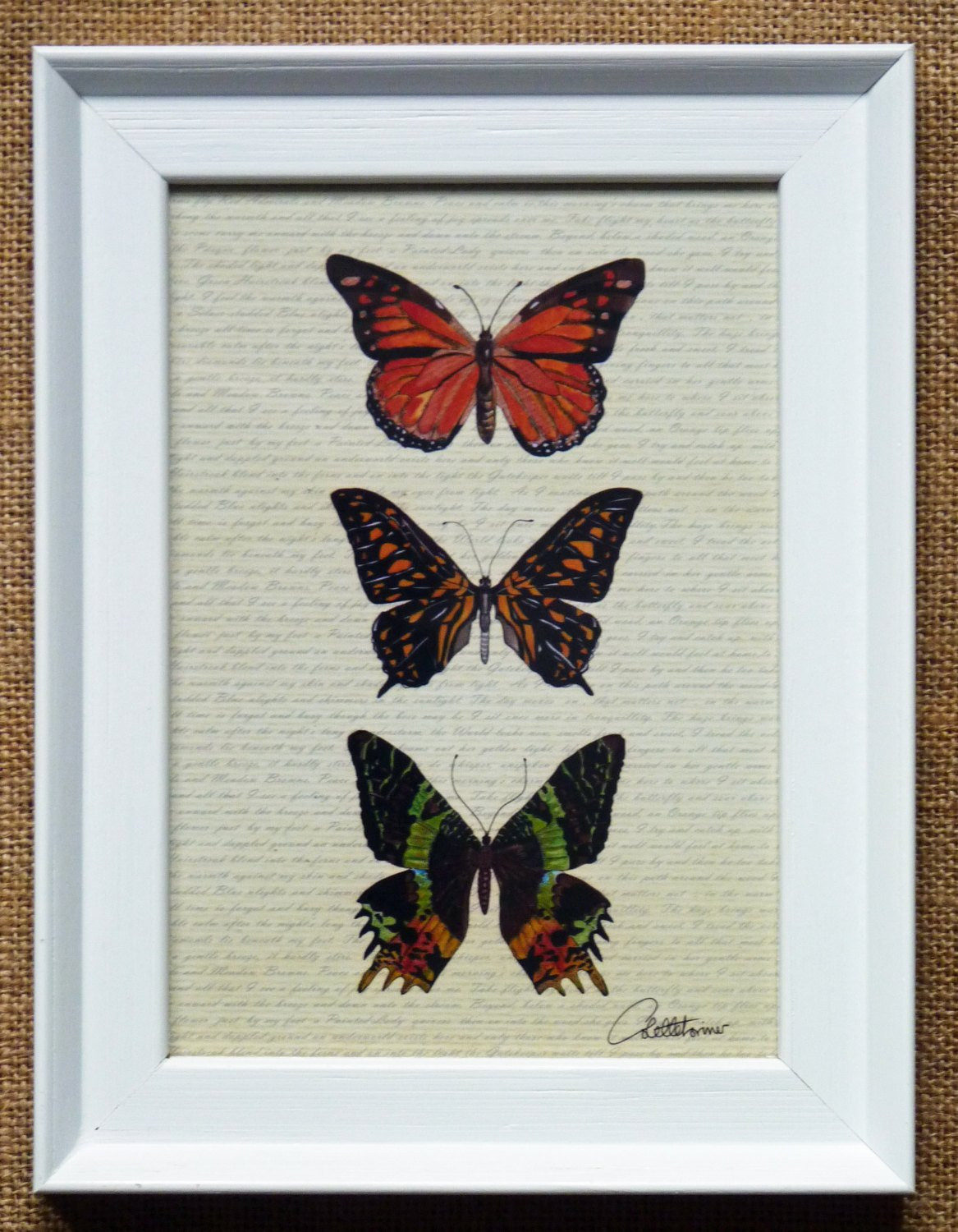 Best ideas about Butterfly Wall Art
. Save or Pin Butterfly Wall Art Butterfly PictureButterflies framed A Now.