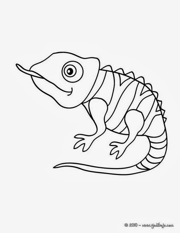 Cameleon Coloring Pages
 Maestra de Primaria Dibujos de camaleones para colorear