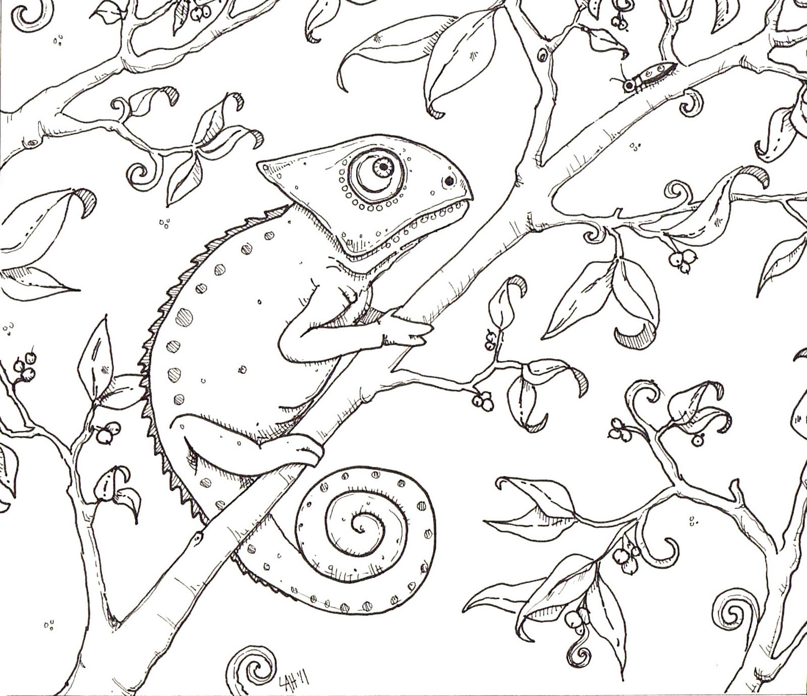 Cameleon Coloring Pages
 Chameleon Coloring Pages Free Printable Chameleon