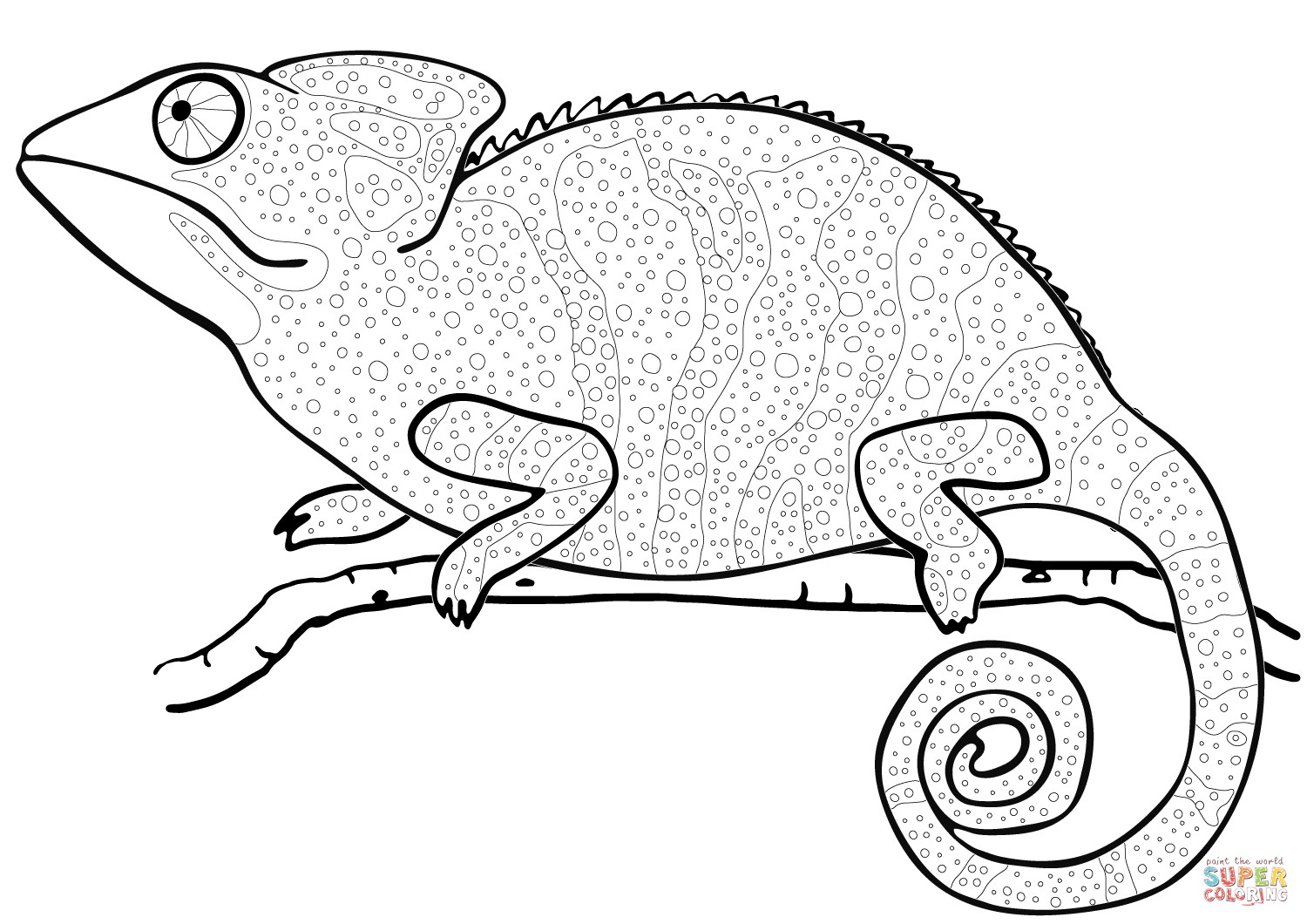 Cameleon Coloring Pages
 Chameleon coloring page